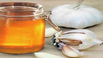 Photo of فوائد الثوم مع العسل للقلب ومضادات الجراثيم