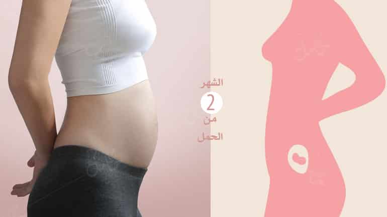 اعراض الحمل في الشهر الثاني صورة رقم 1