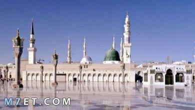 Photo of تفسير المسجد النبوي في المنام