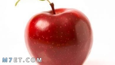 Photo of فوائد التفاح الصحية وقيمته الغذائية