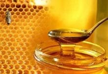 Photo of جميع فوائد العسل للصحة
