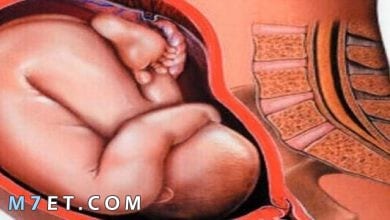 Photo of وضعية الجنين في الحمل وهل يمكن تغييرها
