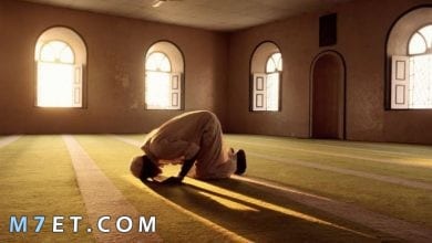 Photo of كيفية الوضوء والصلاة الصحيحة بالصور