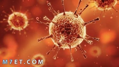 Photo of ما هو فيروس كورونا ؟ وما هي أعراضه وطرق العدوى