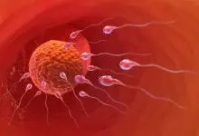 Photo of علامات واعراض انفجار البويضه بعد ابرة التفجير وعلاماتها