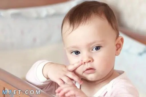 اسماء بحرف الميم اولاد ومعانيها المختلفة صورة رقم 5
