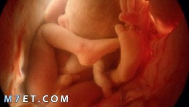 Photo of كيف تكون وضعية الجنين في الحمل