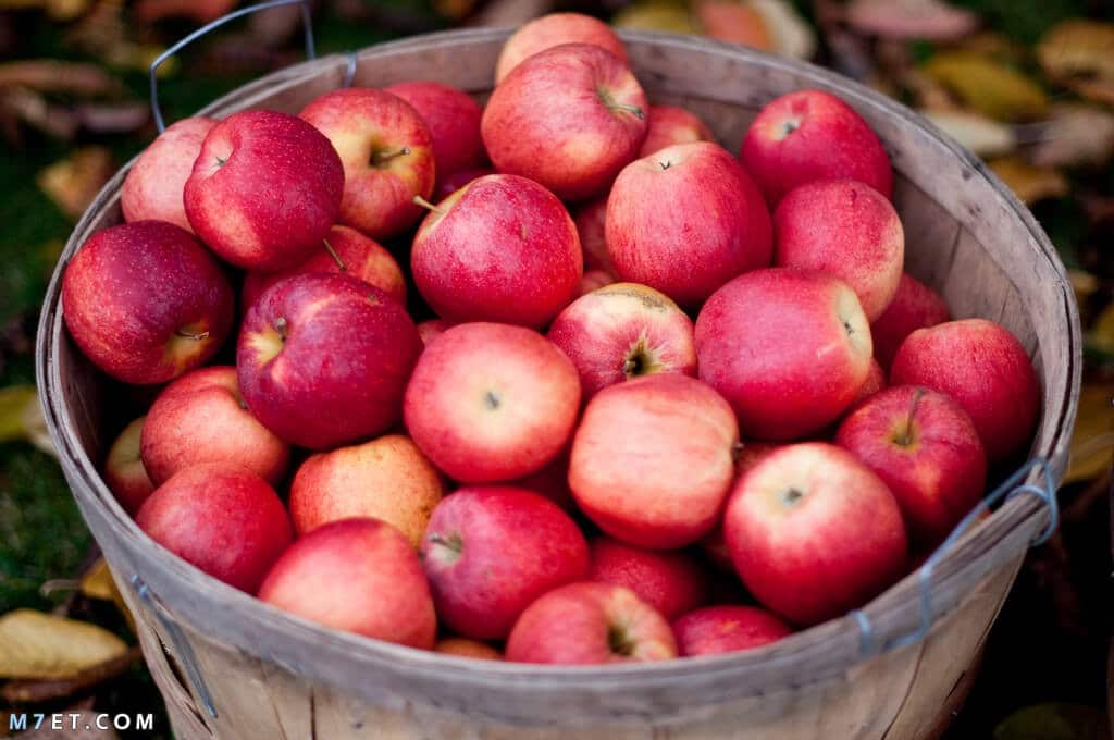 فوائد اكل التفاح للبشرة