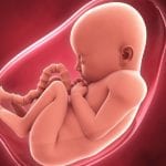 كيفية معرفة جنس الجنين ؟ في الشهور الأولى