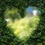 صور مناظر طبيعية 2023