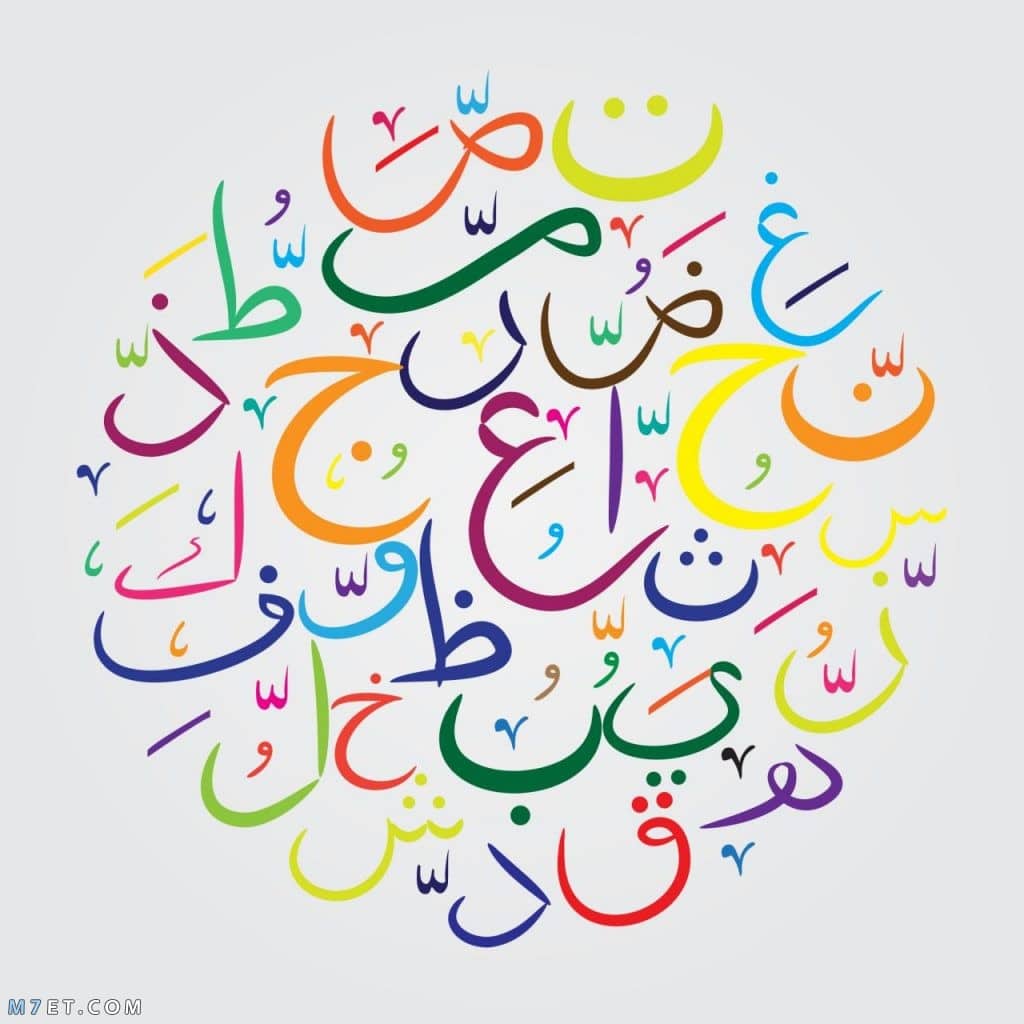 كلمة عن اللغة العربية