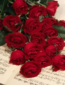 صور ورود 