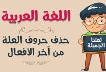 Photo of حروف العلة في اللغة العربية