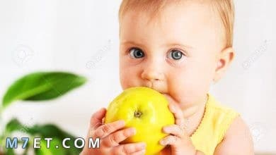 Photo of فوائد التفاح للاطفال وأفضل10 وصفات من التفاح للاطفال