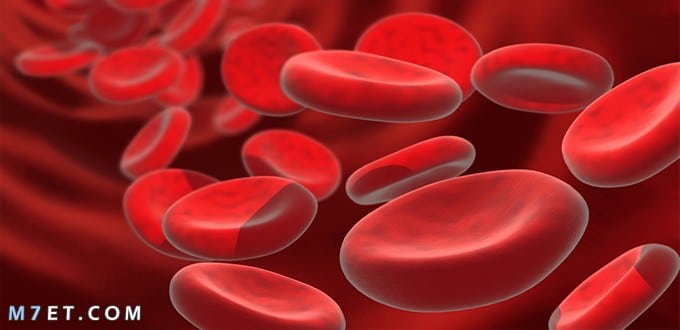 اعراض فقر الدم الحاد باختلاف الاسباب وطرق الوقاية