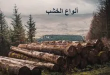 Photo of أنواع الخشب واستخداماته المتنوعة وأفضل أنواع الخشب المقاوم للماء