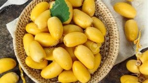 تفسير حلم البلح الاصفر للمتزوجه٤ صورة رقم 1