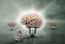 Photo of فوائد القراءة للعقل والنفس وأهميتها