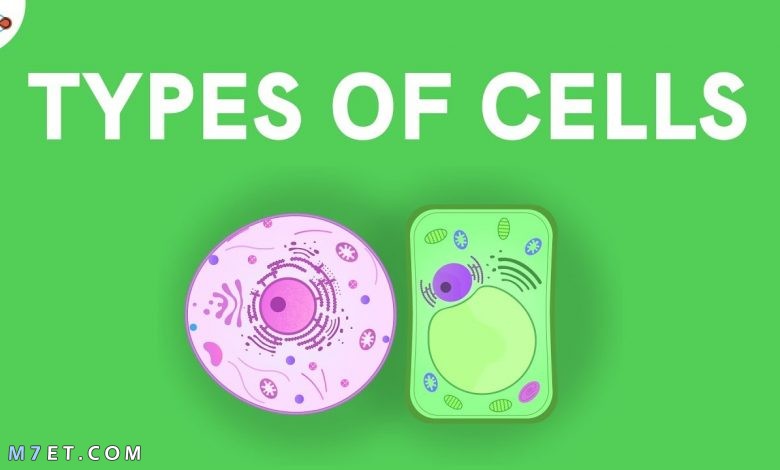 انواع الخلايا 