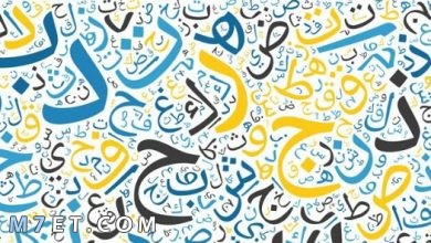 Photo of مقال عن اهمية اللغة العربية وفوائدها ودورها في التعليم
