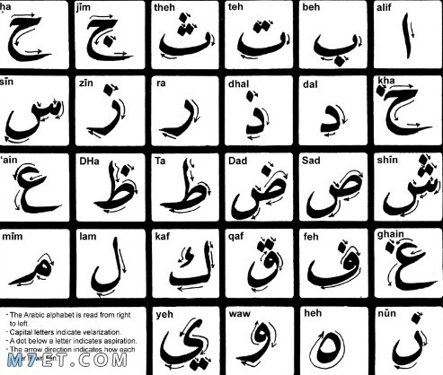 اهمية اللغة العربية