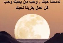 Photo of حكمة الصباح ليوم مليء بالتفاؤل والأمل