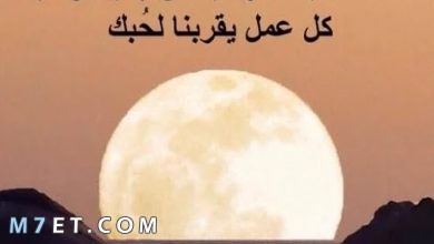 Photo of حكمة الصباح ليوم مليء بالتفاؤل والأمل