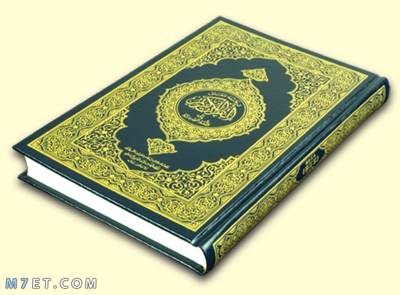 كم عدد آيات القرآن