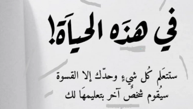Photo of عبارات جميلة عن الحياة تجعلنا نشعر بقيمتها الثمينة