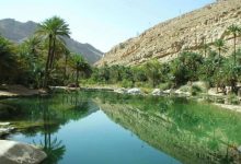 Photo of السياحة في عمان 2023 | أبرز 4 أنواع للسياحة في عمان