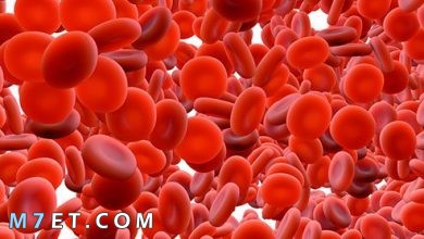 Photo of ارتفاع تحليل rbc في الدم والبول: 8 أسباب لارتفاع عدد خلايا الدم الحمراء في الجسم