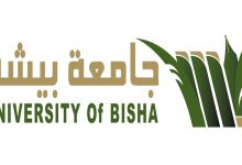 Photo of بلاك بورد جامعة بيشه | 4 خطوات فقط للتسجيل الكترونيا
