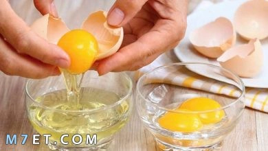 Photo of ماسك البيض والمناديل للرؤوس السوداء