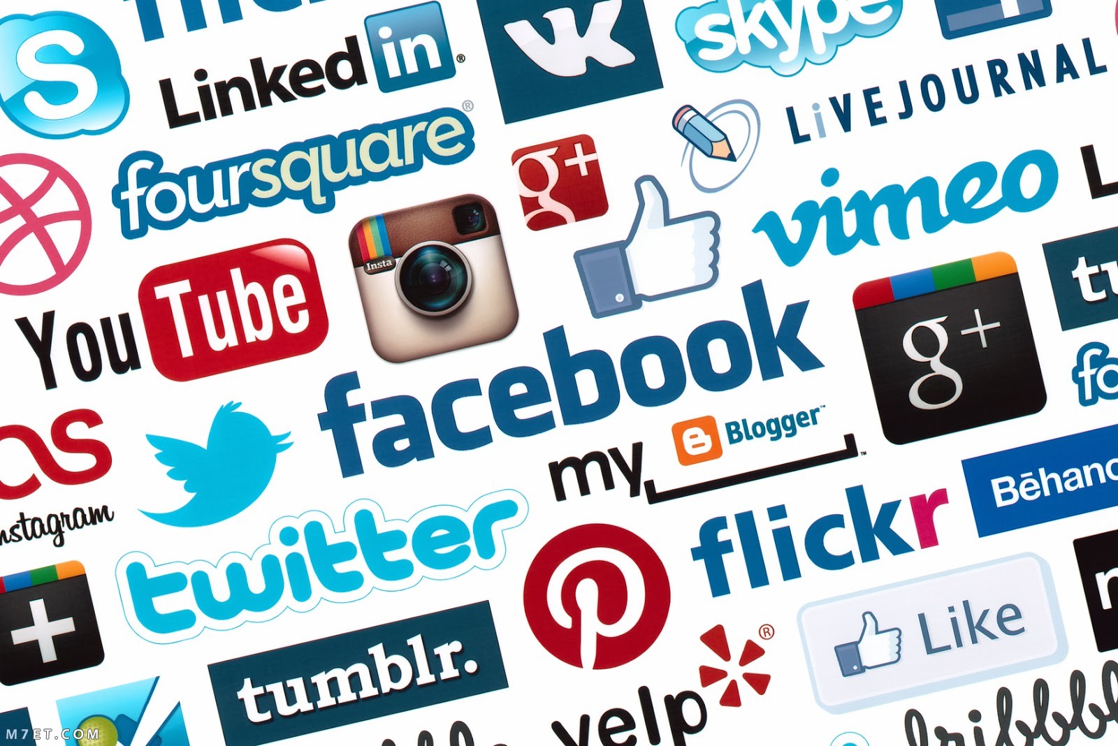 انواع شبكات التواصل الاجتماعي