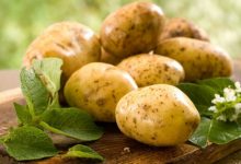 Photo of فوائد البطاطس للبشرة| تعرف على أهم 5 وصفات لجميع أنواع البشرة