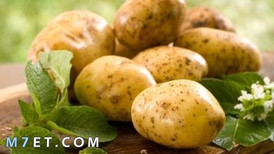 Photo of فوائد البطاطس للبشرة| تعرف على أهم 5 وصفات لجميع أنواع البشرة