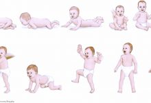 Photo of مراحل نمو الطفل الرضيع في عامه الاول| 12 مرحلة تعرف عليها