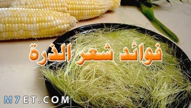 Photo of فوائد شعر الذرة للوجه والشعر