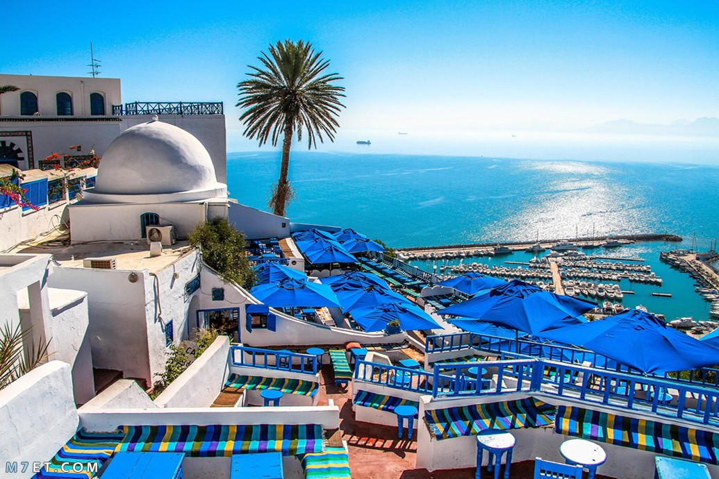 افضل اماكن السياحة في تونس