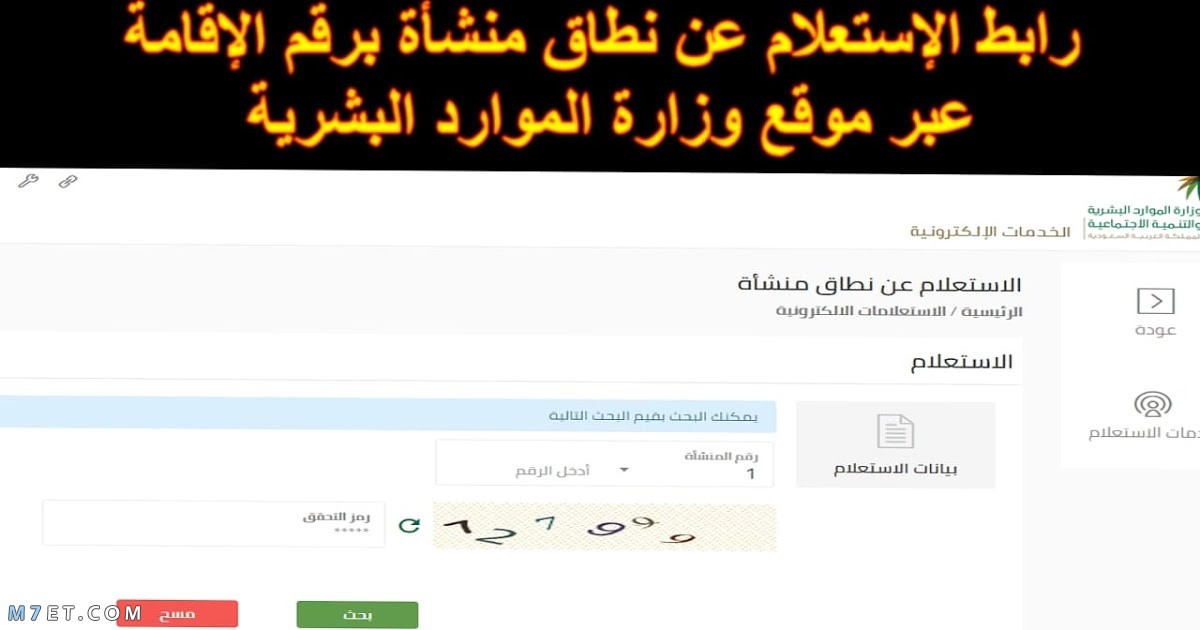 الاستعلام عن نطاق المؤسسة برقم الهوية