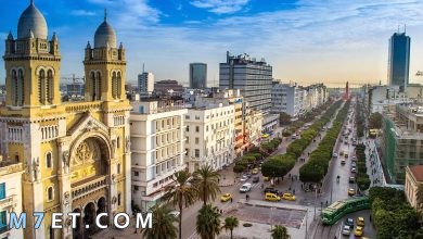 Photo of افضل اماكن السياحة في تونس لعام 2024