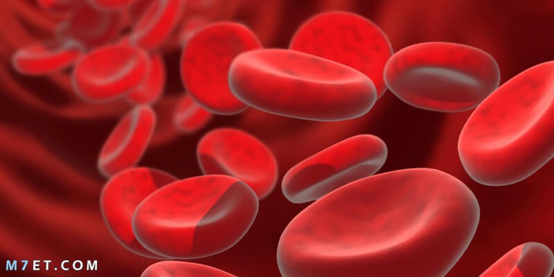 تعريف فقر الدم الاعراض والاسباب وطرق العلاج بالاطعمة