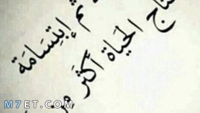 Photo of كلمات جميلة عن الحياة تُحيي عيش القلوب بها