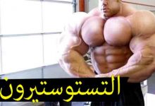 Photo of ارتفاع هرمون التستوستيرون عند الرجال الأعراض والأسباب المؤدية لذلك
