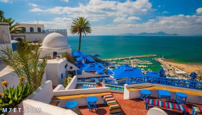 اهم المناطق السياحية في تونس
