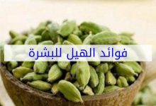 Photo of فوائد الهيل للبشرة ولعلاج حب الشباب وطرق استخدامه بالتفصيل
