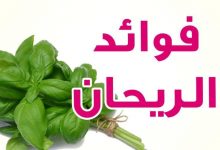 Photo of أهم فوائد الريحان للبشرة الدهنية والجافة