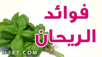Photo of أهم فوائد الريحان للبشرة الدهنية والجافة