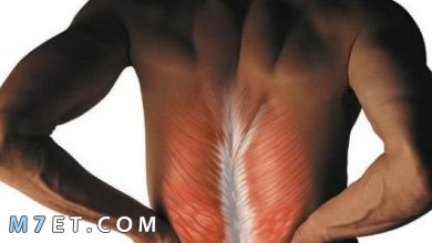Photo of اسباب تشنج العضلات وطرق علاج تشنج العضلات بـ 4 أعشاب