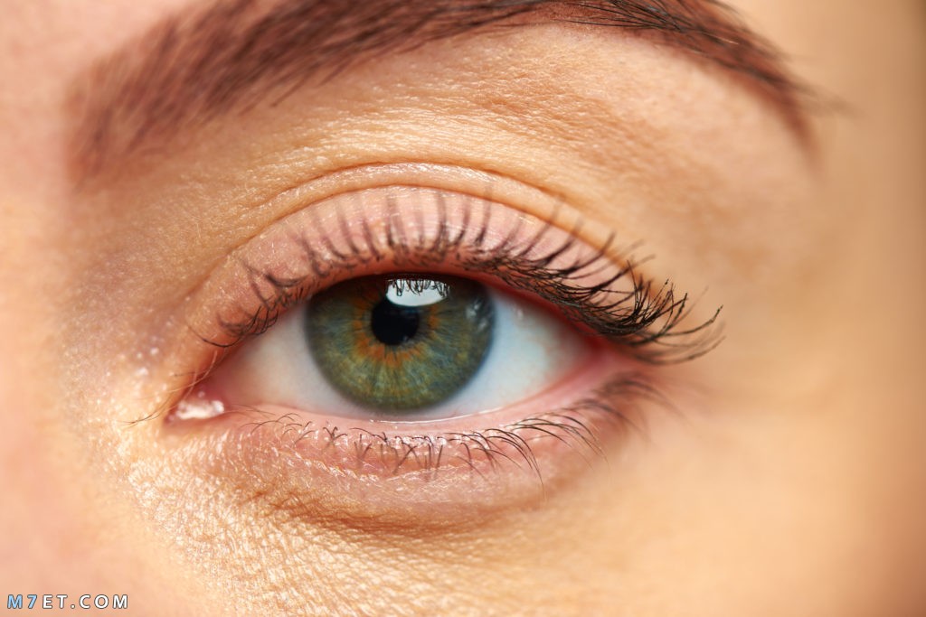 كيفية المحافظة على العين